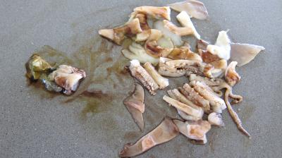 Salade tiède de poisson - 3.4
