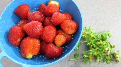 Tarte au fromage nature avec fraises et framboises - 1.2
