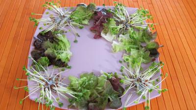Recette Piments doux en salade