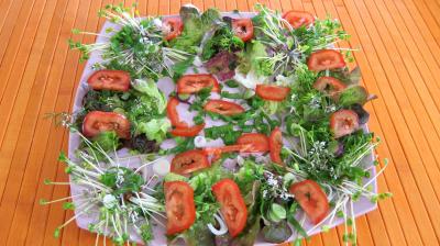 Piments doux en salade - 7.2