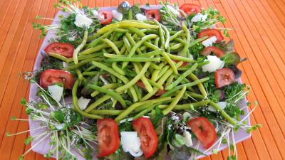 Piments doux en salade - 8.1