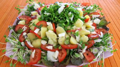 Recettes végétariennes : Assiette de piments doux en salade