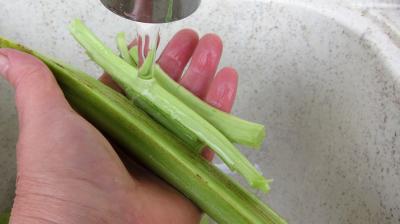 Tarte à la rhubarbe meringuée - 1.3