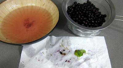 Glace ou crème glacée au cassis - 1.1