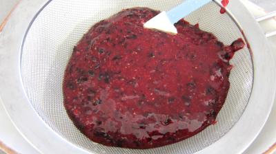 Glace ou crème glacée au cassis - 5.1