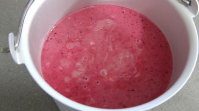 Glace ou crème glacée au cassis - 6.1