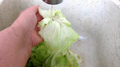 Salade haricots beurre du jardin - 1.1