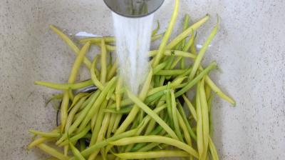 Salade haricots beurre du jardin - 5.1
