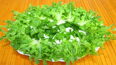 Salade de pommes de terre, bleue d'Artois ou Valfi - 7.1