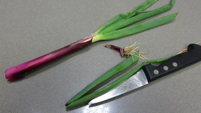 Crème de courgette en amuse-bouche - 1.1