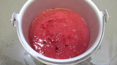 Glace aux noisettes et fruits rouges - 7.2