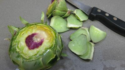 Artichauts en ratatouille - 5.2