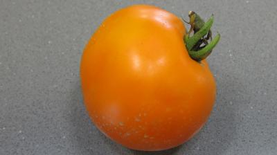 Tomate Valence