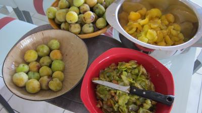 Marmelade facile de prunes variées - 1.1