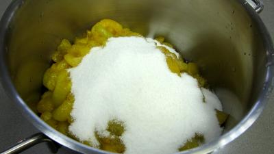 Marmelade facile de prunes variées - 2.1