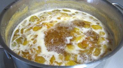 Marmelade facile de prunes variées - 3.1