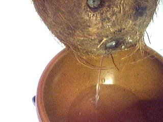 Punch à la noix de coco - 4.1