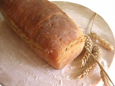Pains & pâtes : Pain sans sel