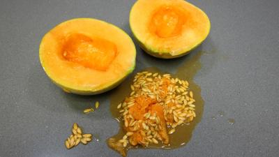 Verrines de melon au fromage blanc - 1.1