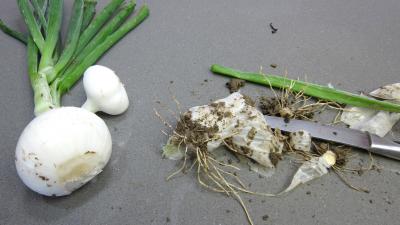Blettes et oseille aux oeufs durs - 3.1