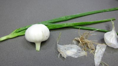 Pommes de terre à la sauce blanche - 1.1