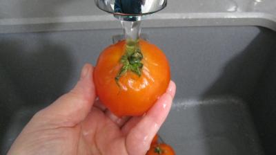 Tomates farcies - 1.1