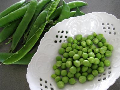 Terrine de légumes au thon - 1.2