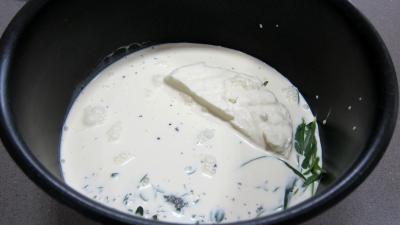 Sauce au sureau et à l'étoile du Vercors - 2.4