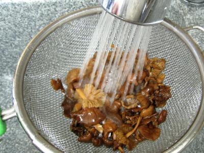 Entrecôtes croustillantes et sa sauce aux cacahuètes - 4.1