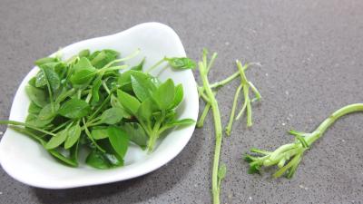 Sauce vinaigrette au citron - 1.3