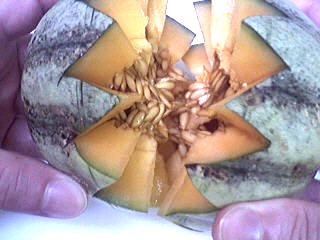 Soupe de melon - 6.2