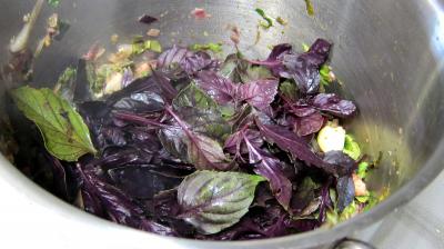Conserve de ragoût de blettes et d'oseille au basilic - 8.1