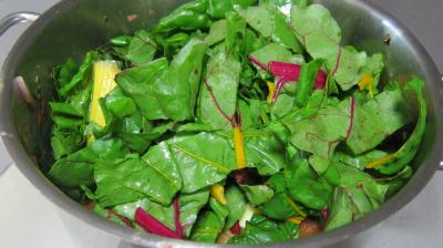 Conserve de ragoût de blettes et d'oseille au basilic - 9.1