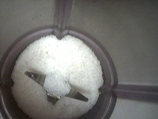 Melons en blanquette - 1.1