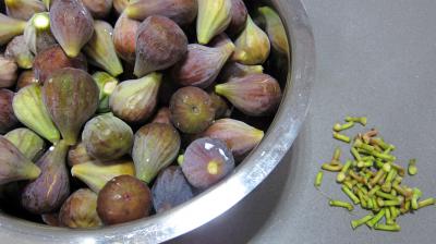 Figues confites aux épices - 1.1