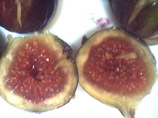 Liqueur de figues - 1.2