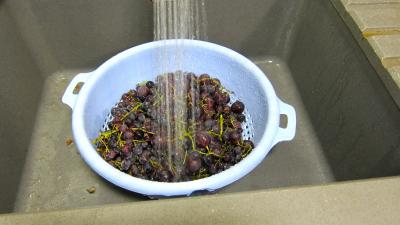 Confiture de raisins - 1.1