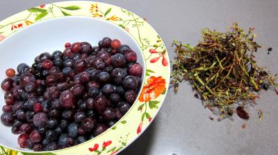 Confiture de raisins - 1.3