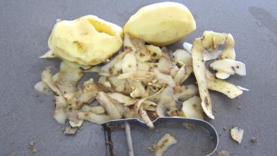 Samossas aux blettes et à la sauge - 3.3