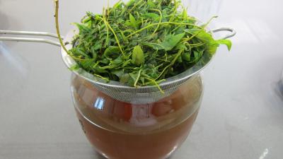Gelée de pommes à la verveine - 3.1
