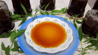 jus de citron : Assiette de gelée de pommes à la verveine
