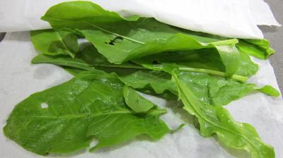 Aubergines crues en salade - 2.4