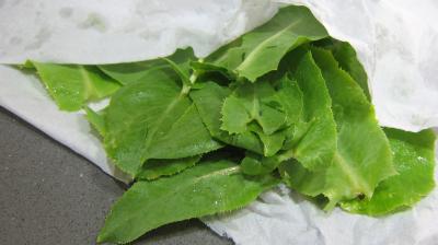 Aubergines crues en salade - 3.4