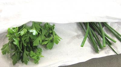 Poireaux farcis en cassolettes - 1.1