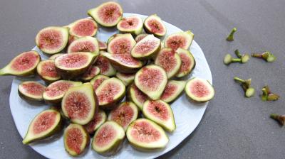 Crottins de chèvre en salade - 3.4