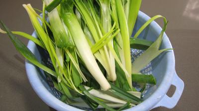Crottins de chèvre en salade - 3.2