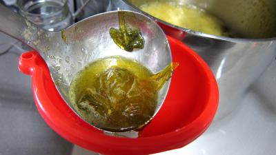 Confiture de tomates vertes - 6.1