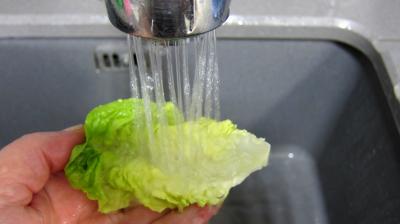 Bettes en salade - 2.2