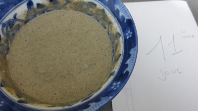 Levain sans gluten à la farine de sarrasin - 6.1