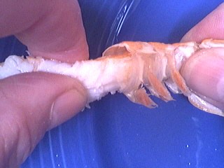 Foie gras aux langoustines - 8.1